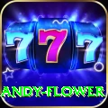 andy flower Pro Edition v3.8.7