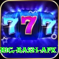 bbl big bash apk Apps (Tools & Injectors) Plus v2.0.4