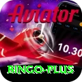 bingo VIP Edition v4.2.7