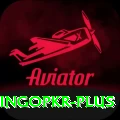 bingopkr VIP Pro v1.6.5