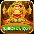 cricket bat Premium Edition v2.9.2