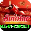 fastest ball in cricket Gold Edition v2.5.5
