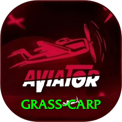 grass carp Premium Plus v5.5.6 - 2