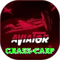 grass carp Premium Plus v5.5.6