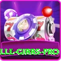 herschelle gibbs Games Deluxe