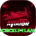 hong kong cricket team Premium Edition v3.5.0