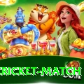 india cricket match Pro Edition v3.3.4