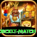 india pakistan cricket match Turbo Pro v1.7.9