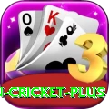 india pakistan cricket King Jackpot