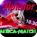 india south africa match Gold Edition v2.2.2