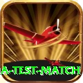 india test match Elite Pro v1.9.2
