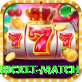 international cricket match Turbo Pro v4.8.5