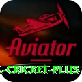 international cricket Pakistan Plus v2.2.2