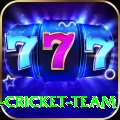 ireland cricket team Deluxe Edition v4.9.3