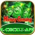 live cricket app Ultimate v2.5.9