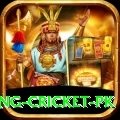 make money betting cricket pk Premium v2.1.7
