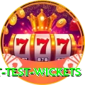 most test wickets Elite Pro v2.7.7