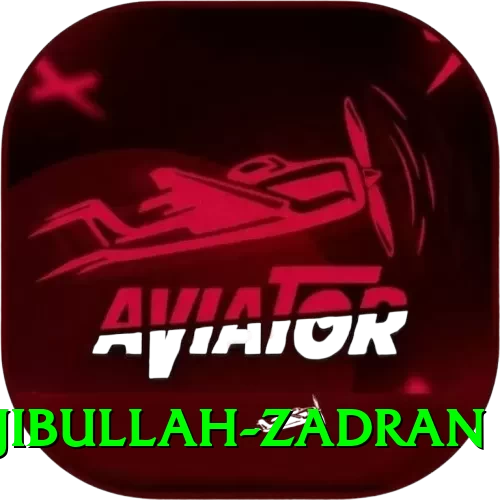 najibullah zadran Premium Plus v2.9.4 - 2