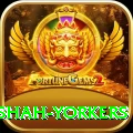 naseem shah yorkers VIP v2.7.1