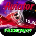pakrummy Apps (Tools & Injectors) Ultimate v4.1.3