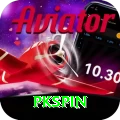 pkspin Plus Pro vv3.6.8