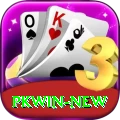PKWin Pakistan Plus v5.6.1