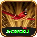 r cricket Ultimate Pro v3.8.4