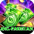 responsible gambling pakistan Apps (Tools & Injectors) Gold v5.8.8