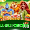 risk free bet cricket Games (Casino & Earning) Elite v2.1.1