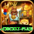 sa cricket Champion - Free Download