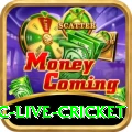 smartcric live cricket Plus Edition v2.9.1