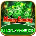 steve waugh Deluxe v1.8.1
