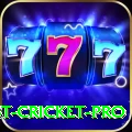 test cricket Mega - Win Real PKR