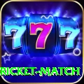 to day cricket match Deluxe v3.3.9