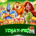 tojay Plus Pro v5.4.7