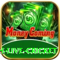 watch live cricket Pro1 v5.7.1