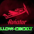willow cricket Max v3.0.8