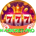 willow cricket Earn Super v4.8.9